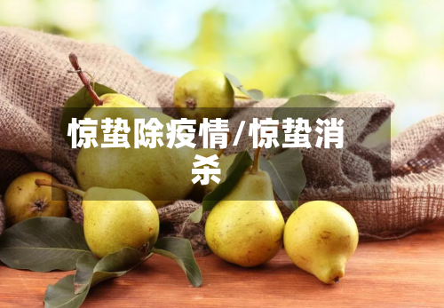 惊蛰除疫情/惊蛰消杀-第3张图片