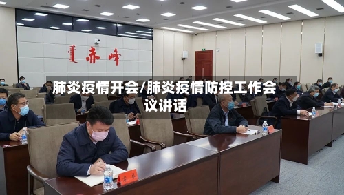 肺炎疫情开会/肺炎疫情防控工作会议讲话-第2张图片
