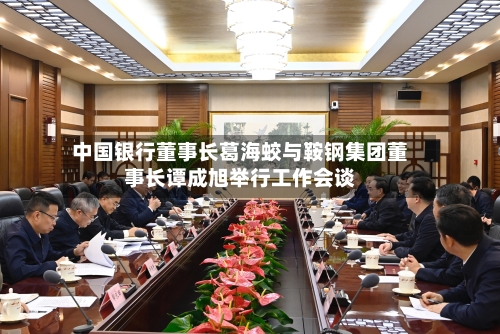 中国银行董事长葛海蛟与鞍钢集团董事长谭成旭举行工作会谈