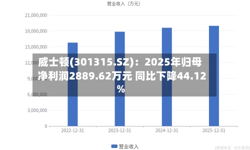 威士顿(301315.SZ)：2025年归母净利润2889.62万元 同比下降44.12%