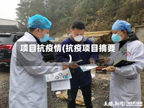 项目抗疫情(抗疫项目摘要)