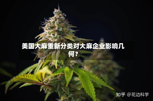 美国大麻重新分类对大麻企业影响几何？-第2张图片