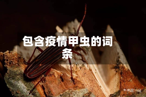 包含疫情甲虫的词条