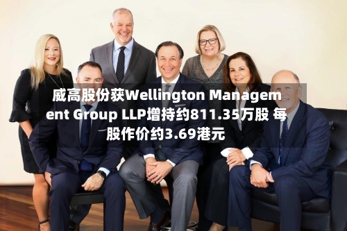威高股份获Wellington Management Group LLP增持约811.35万股 每股作价约3.69港元-第2张图片