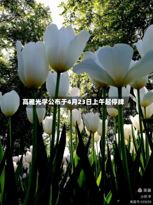 高雅光学公布于4月23日上午起停牌