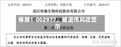 停牌！002977	，被退市风险警示-第2张图片