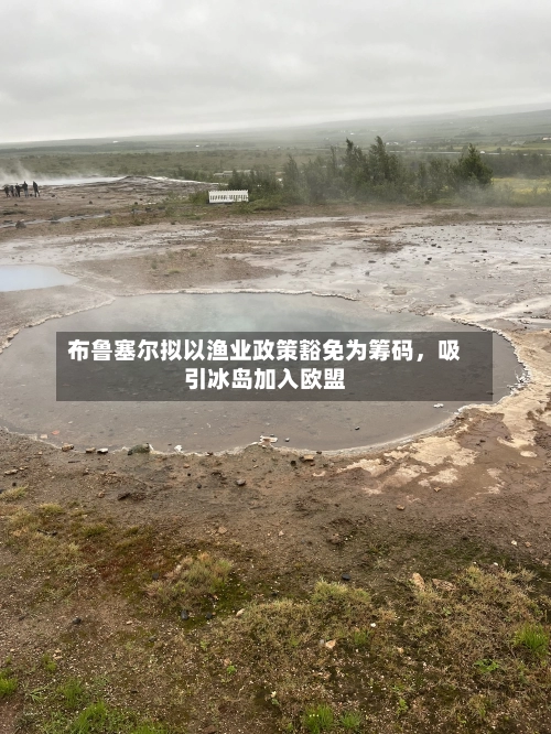 布鲁塞尔拟以渔业政策豁免为筹码，吸引冰岛加入欧盟-第2张图片