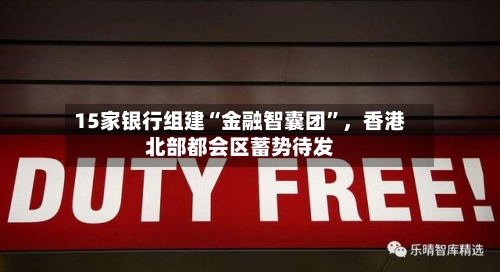 15家银行组建“金融智囊团	”	，香港北部都会区蓄势待发-第3张图片