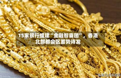 15家银行组建“金融智囊团”	，香港北部都会区蓄势待发-第2张图片