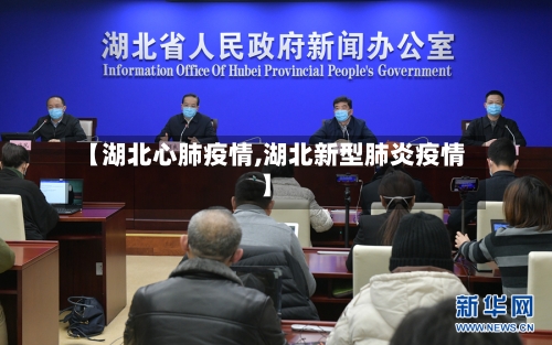 【湖北心肺疫情,湖北新型肺炎疫情】-第2张图片