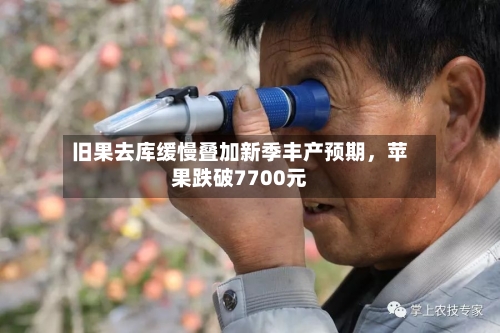 旧果去库缓慢叠加新季丰产预期	，苹果跌破7700元-第2张图片