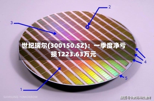 世纪瑞尔(300150.SZ)：一季度净亏损1223.63万元