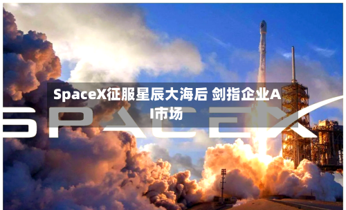 SpaceX征服星辰大海后 剑指企业AI市场-第2张图片