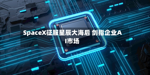SpaceX征服星辰大海后 剑指企业AI市场-第3张图片