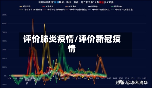评价肺炎疫情/评价新冠疫情