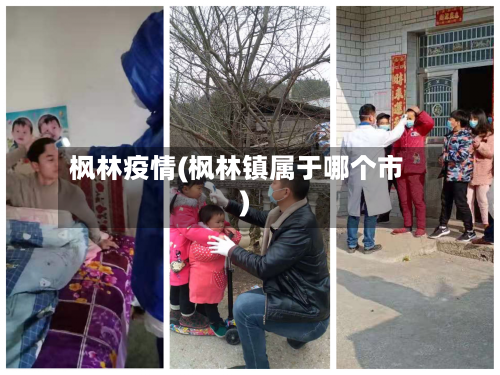 枫林疫情(枫林镇属于哪个市)