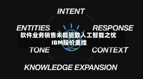 软件业务销售未能驱散人工智能之忧 IBM股价重挫