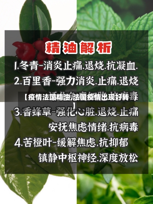 【疫情法国精油,法国疫情出现好转】-第2张图片