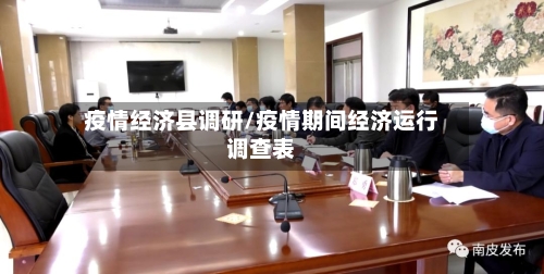 疫情经济县调研/疫情期间经济运行调查表-第2张图片