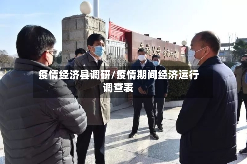 疫情经济县调研/疫情期间经济运行调查表-第3张图片