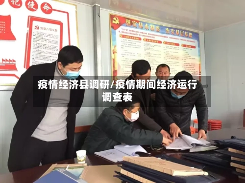 疫情经济县调研/疫情期间经济运行调查表