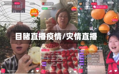 目睹直播疫情/灾情直播-第2张图片