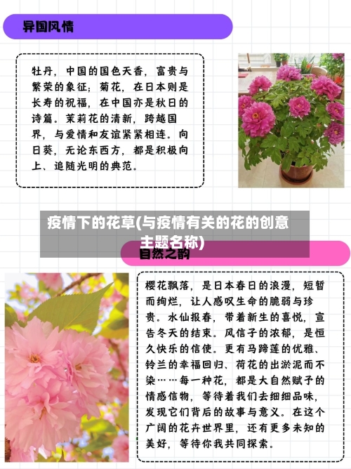 疫情下的花草(与疫情有关的花的创意主题名称)-第2张图片