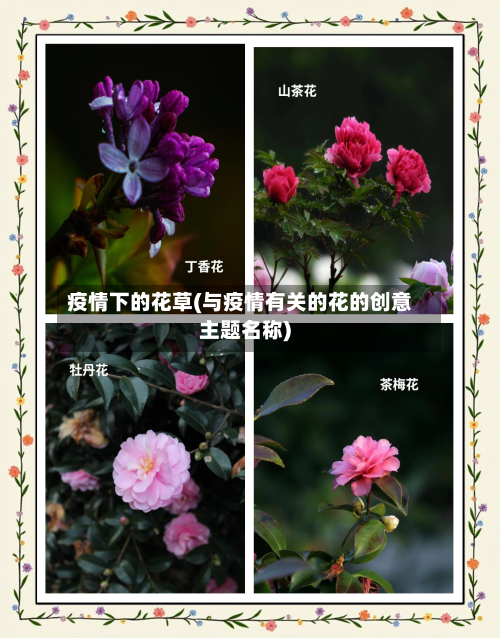 疫情下的花草(与疫情有关的花的创意主题名称)