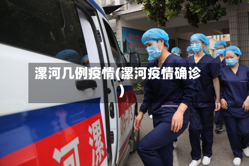 漯河几例疫情(漯河疫情确诊)-第2张图片