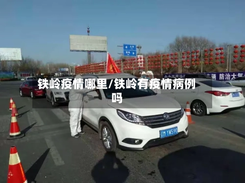 铁岭疫情哪里/铁岭有疫情病例吗-第2张图片