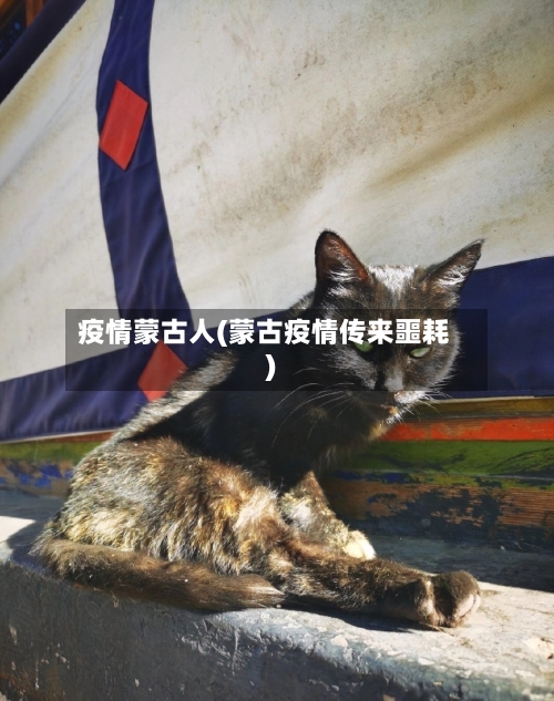 疫情蒙古人(蒙古疫情传来噩耗)-第3张图片