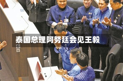 泰国总理阿努廷会见王毅