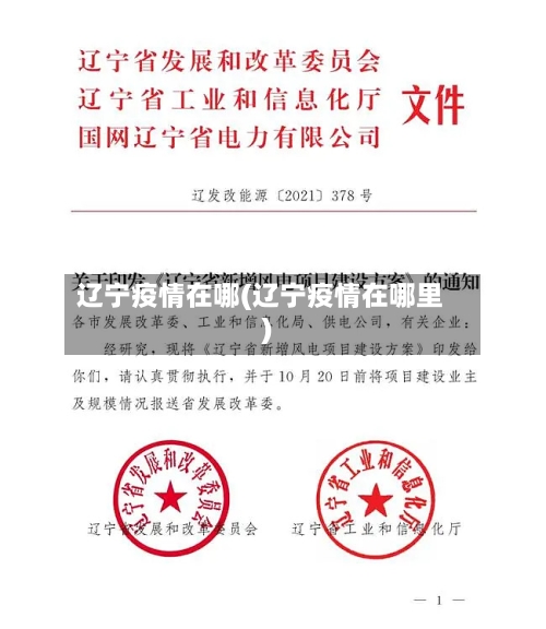 辽宁疫情在哪(辽宁疫情在哪里)-第3张图片