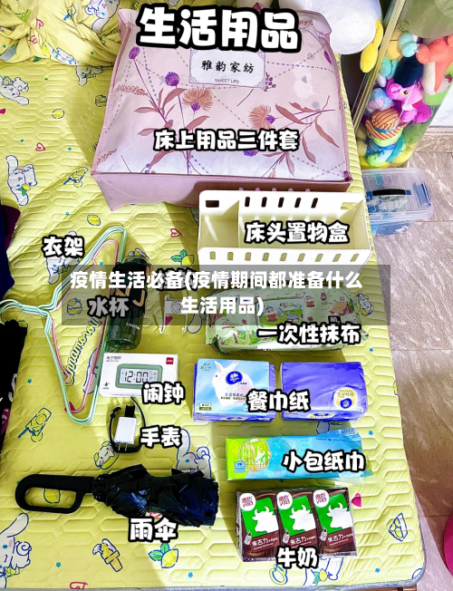 疫情生活必备(疫情期间都准备什么生活用品)