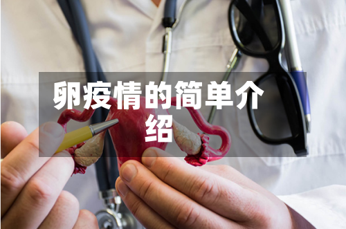 卵疫情的简单介绍