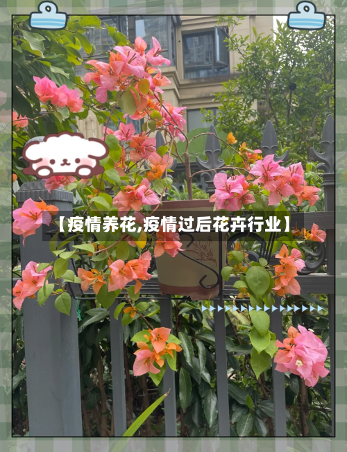 【疫情养花,疫情过后花卉行业】-第2张图片