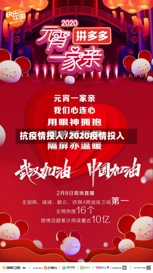 抗疫情投入/2020疫情投入