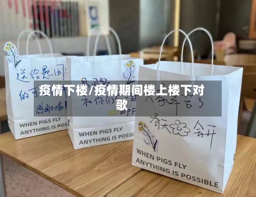 疫情下楼/疫情期间楼上楼下对歌