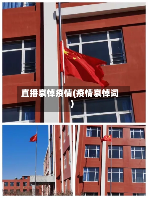 直播哀悼疫情(疫情哀悼词)-第2张图片