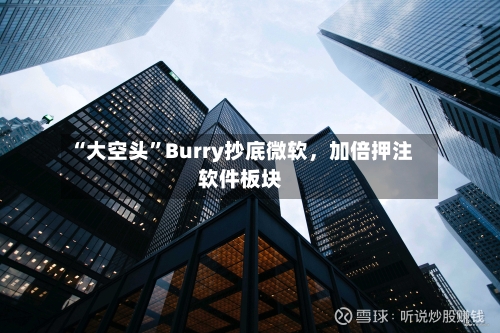 “大空头”Burry抄底微软，加倍押注软件板块-第2张图片