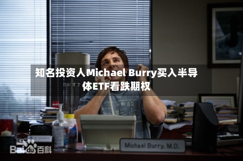 知名投资人Michael Burry买入半导体ETF看跌期权-第3张图片