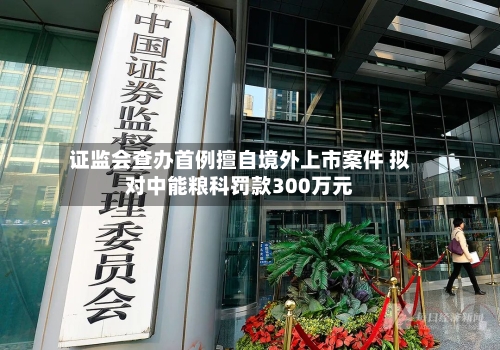 证监会查办首例擅自境外上市案件 拟对中能粮科罚款300万元
