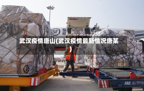 武汉疫情唐山(武汉疫情最新情况唐某)-第2张图片