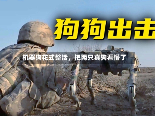 机器狗花式整活，把两只真狗看懵了-第2张图片