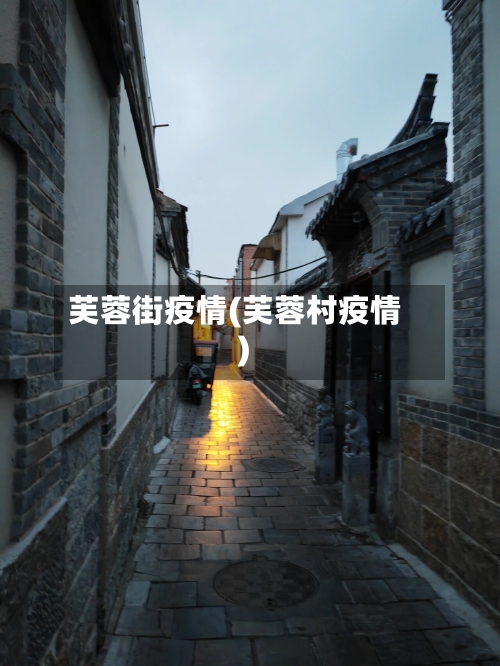 芙蓉街疫情(芙蓉村疫情)