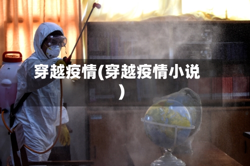 穿越疫情(穿越疫情小说)