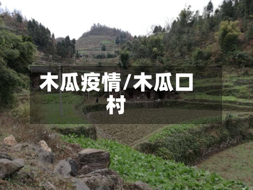 木瓜疫情/木瓜口村-第3张图片