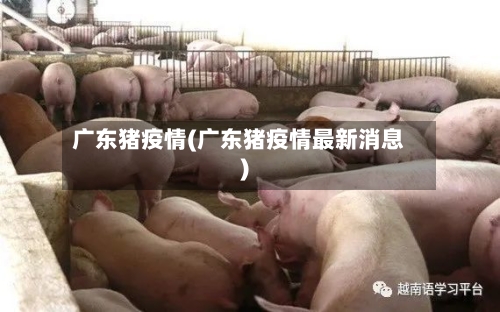广东猪疫情(广东猪疫情最新消息)-第2张图片
