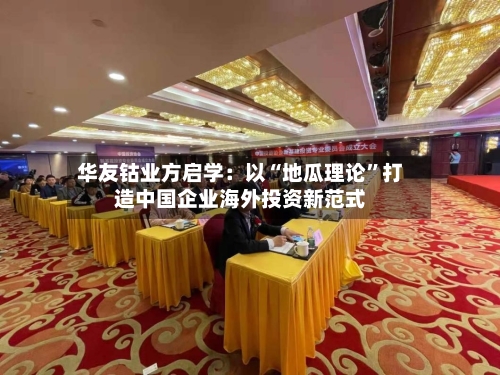 华友钴业方启学：以“地瓜理论”打造中国企业海外投资新范式