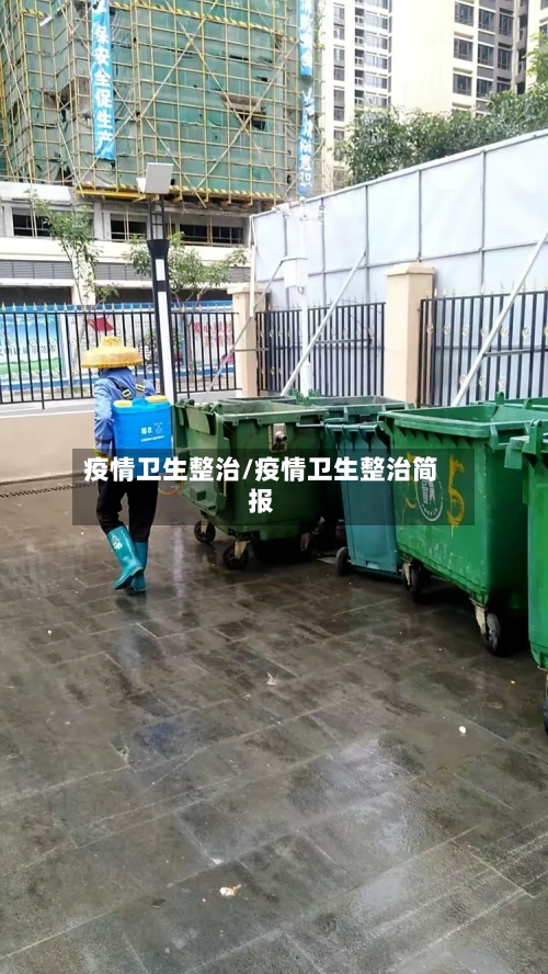 疫情卫生整治/疫情卫生整治简报-第2张图片